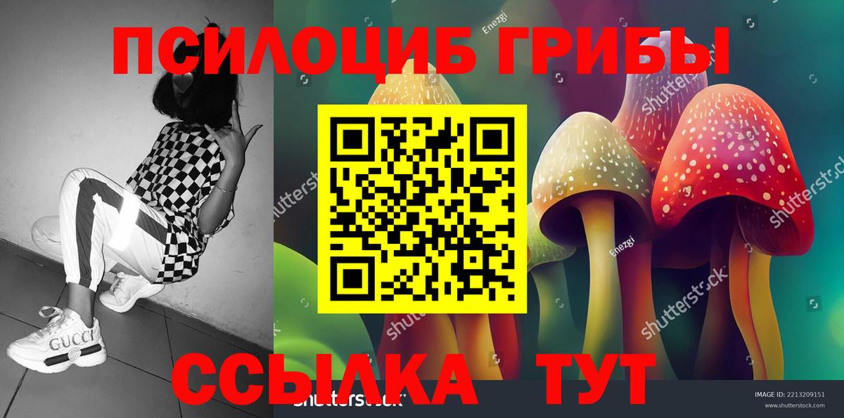 Галлюциногенные грибы GOLDEN TEACHER Бахчисарай